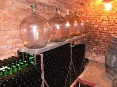 vinonaprava-u-nas12